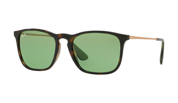 Ray-Ban RB4487 STEVE Sunglasses | Clearly