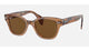 Ray-Ban - RB0880SF