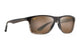 Maui Jim - Onshore