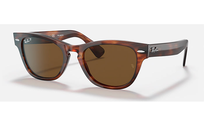 Ray ban laramie shop