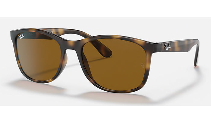 Ray-Ban - RB4374