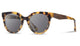 Shwood - Paisley