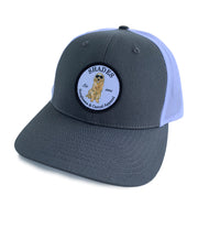 Shades - Low Pro Mesh Back Trucker Hat